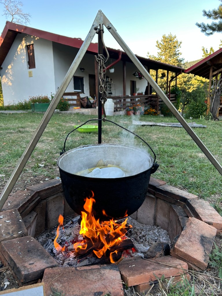 Proprietara adoră să aibă grijă de curte și de grădină