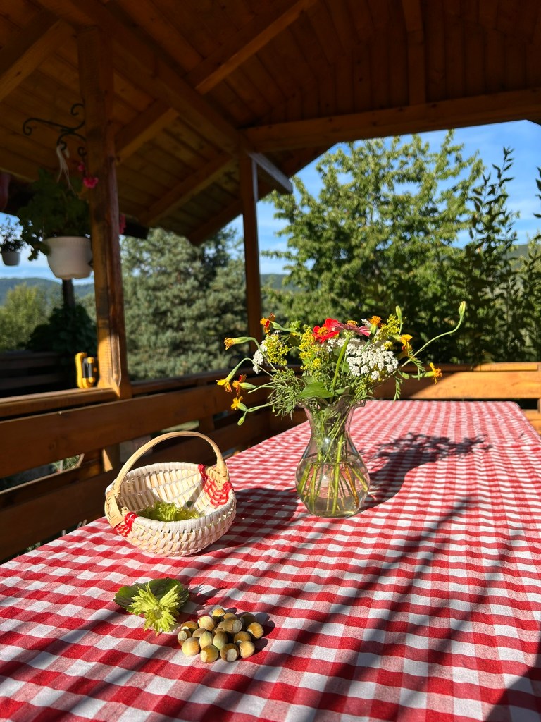 Proprietara adoră să aibă grijă de curte și de grădină