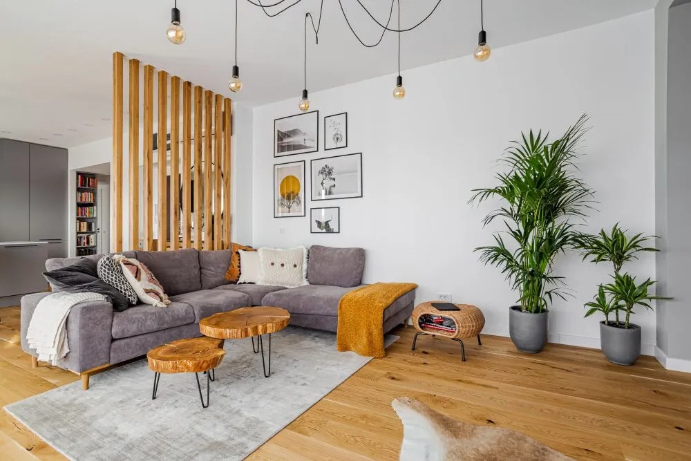 idei separare spatii riflaj living open space