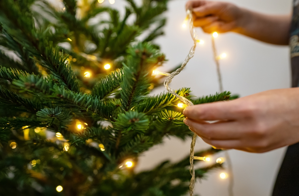 instalație luminoasa pusă în brad de femeie