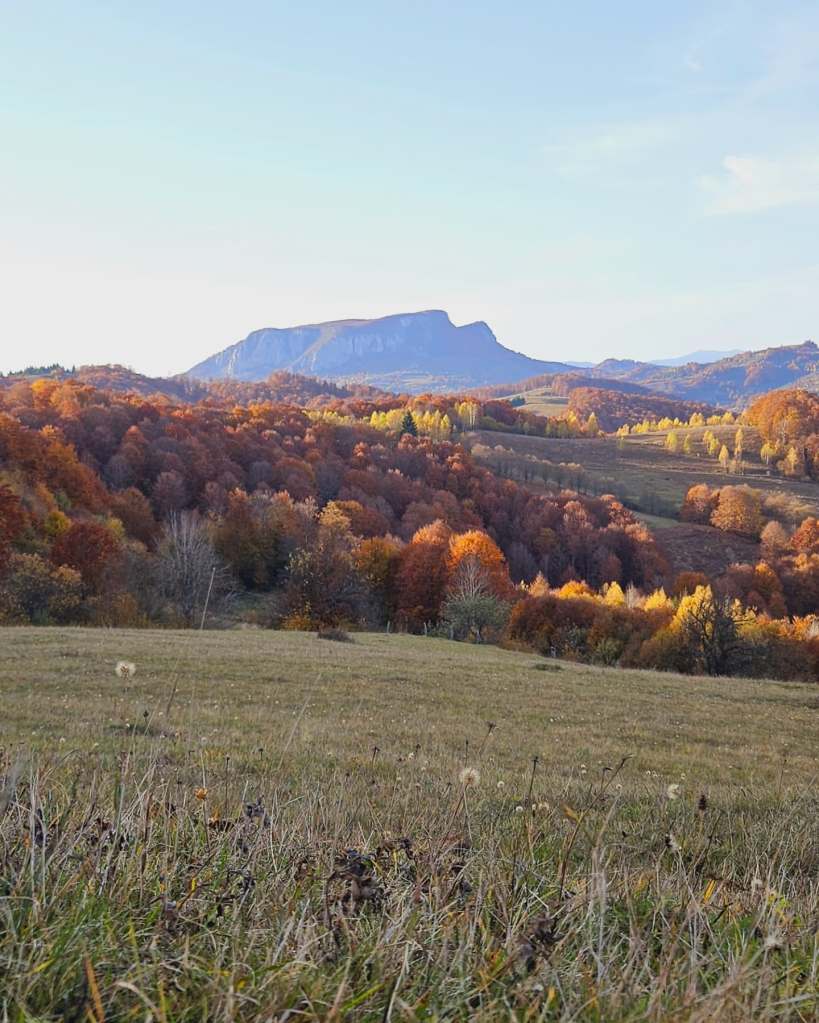 Greta Hillside