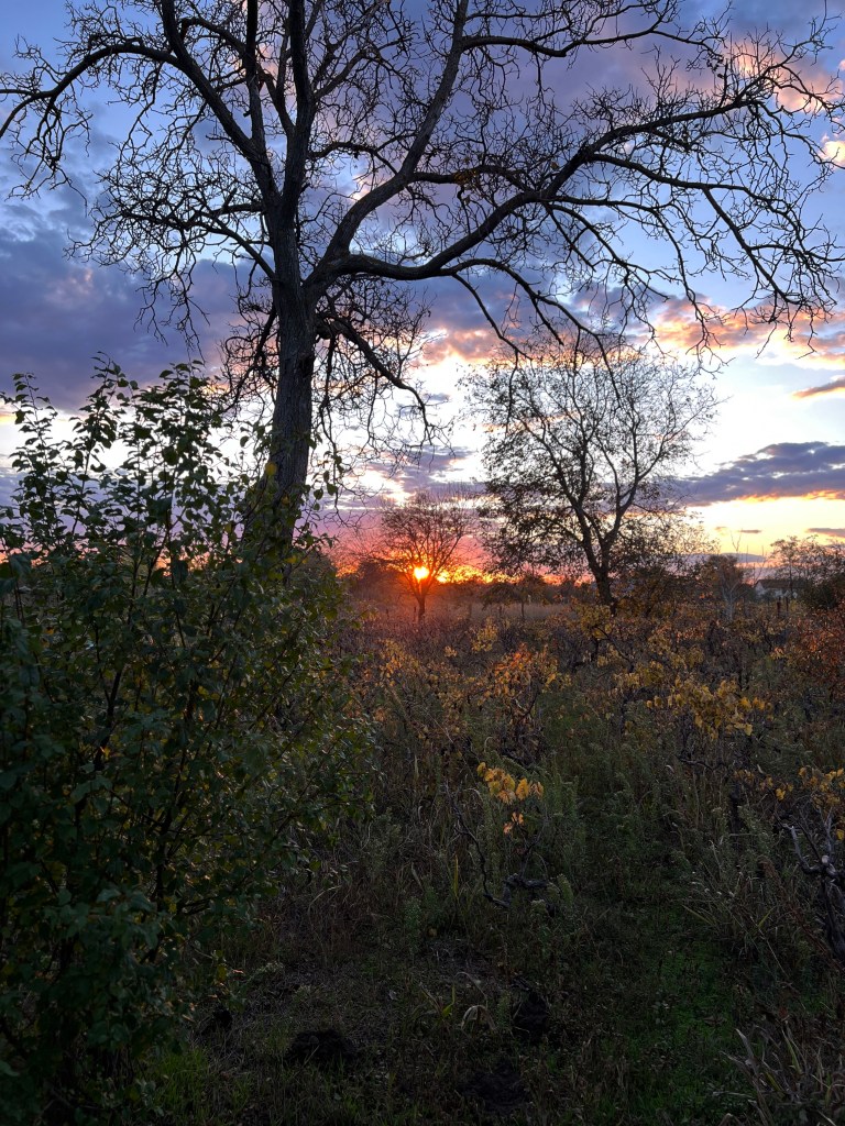 Ada și Dani mai au multe reparații de făcut la căsuța veche, dar vor să devină fermieri și să deschidă un punct gastronomic local la ei în curte