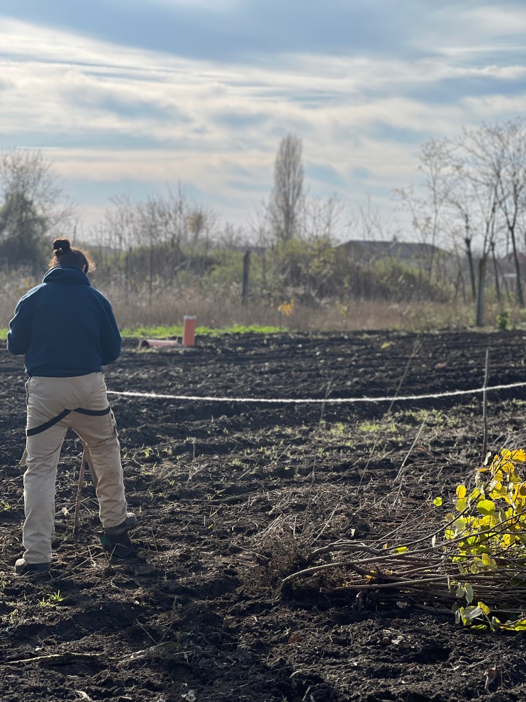  Ada și Dani mai au multe reparații de făcut la căsuța veche, dar vor să devină fermieri și să deschidă un punct gastronomic local la ei în curte