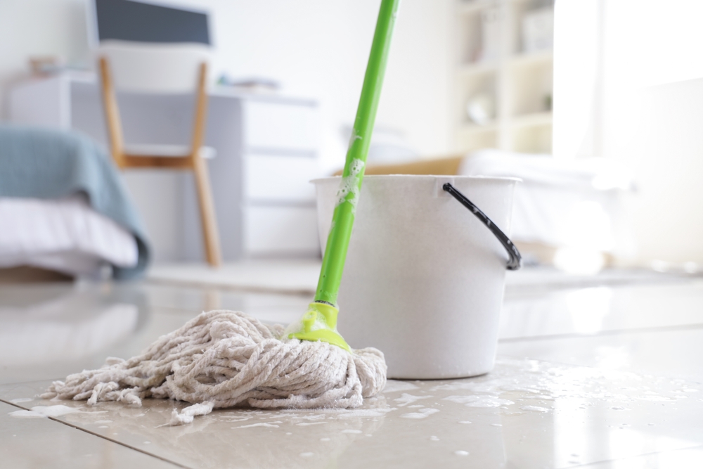 checklist de curățenie mop ud sprijinit de găleata cu apă pe o pardoseală deschisă la culoare cu mobilier în fundal în livingul unei locuințe
