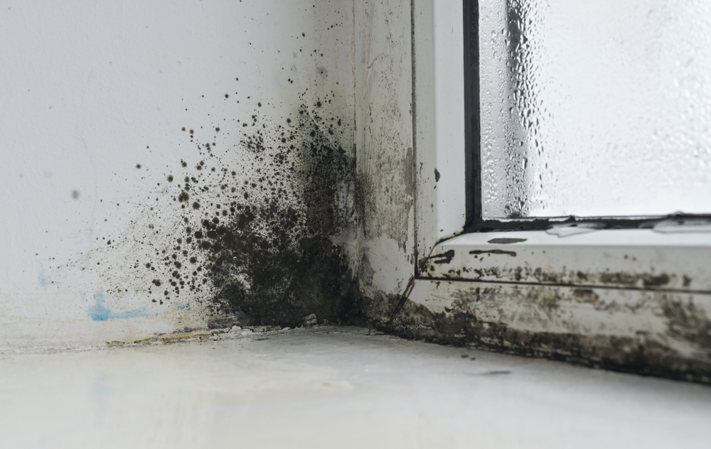 Soluții prevenire mucegai: Mucegai negru la colțurile inferioare a unei ferestre cu geam termopan.
