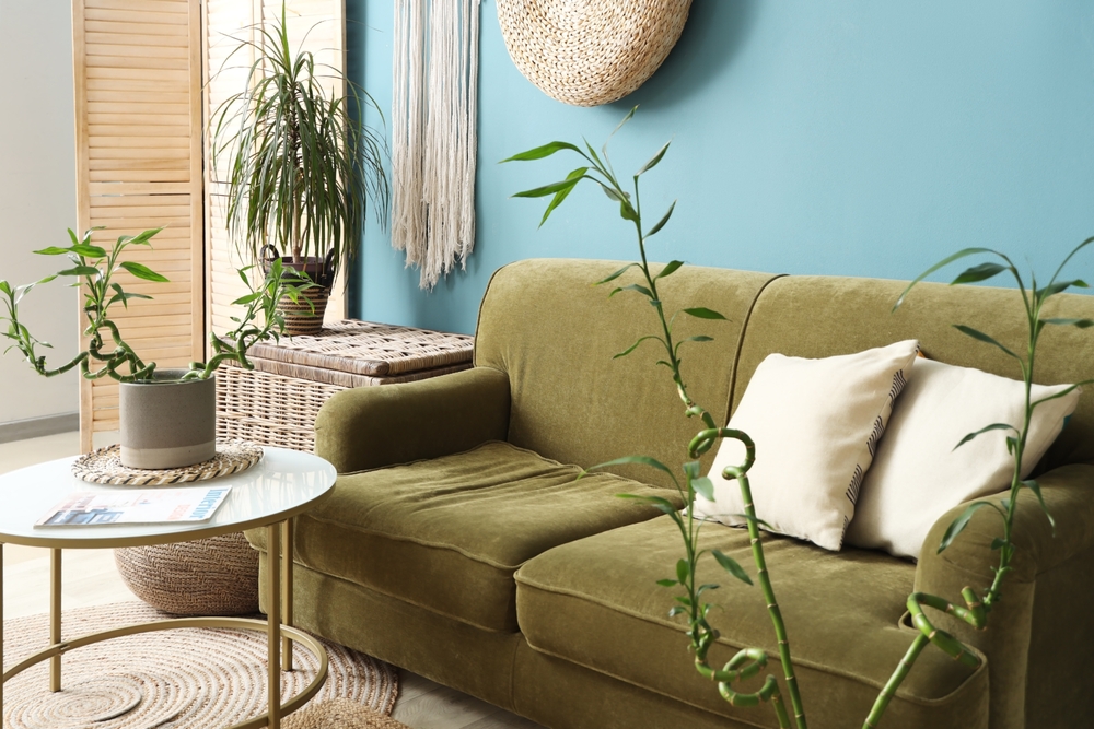 tendințe living 2026 culori bleu si verde perete bleu canapea verde